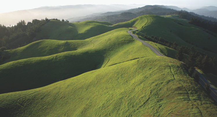 Marin Hillside